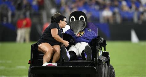 Ravens mascot injury inspires new safety guidelines for performers